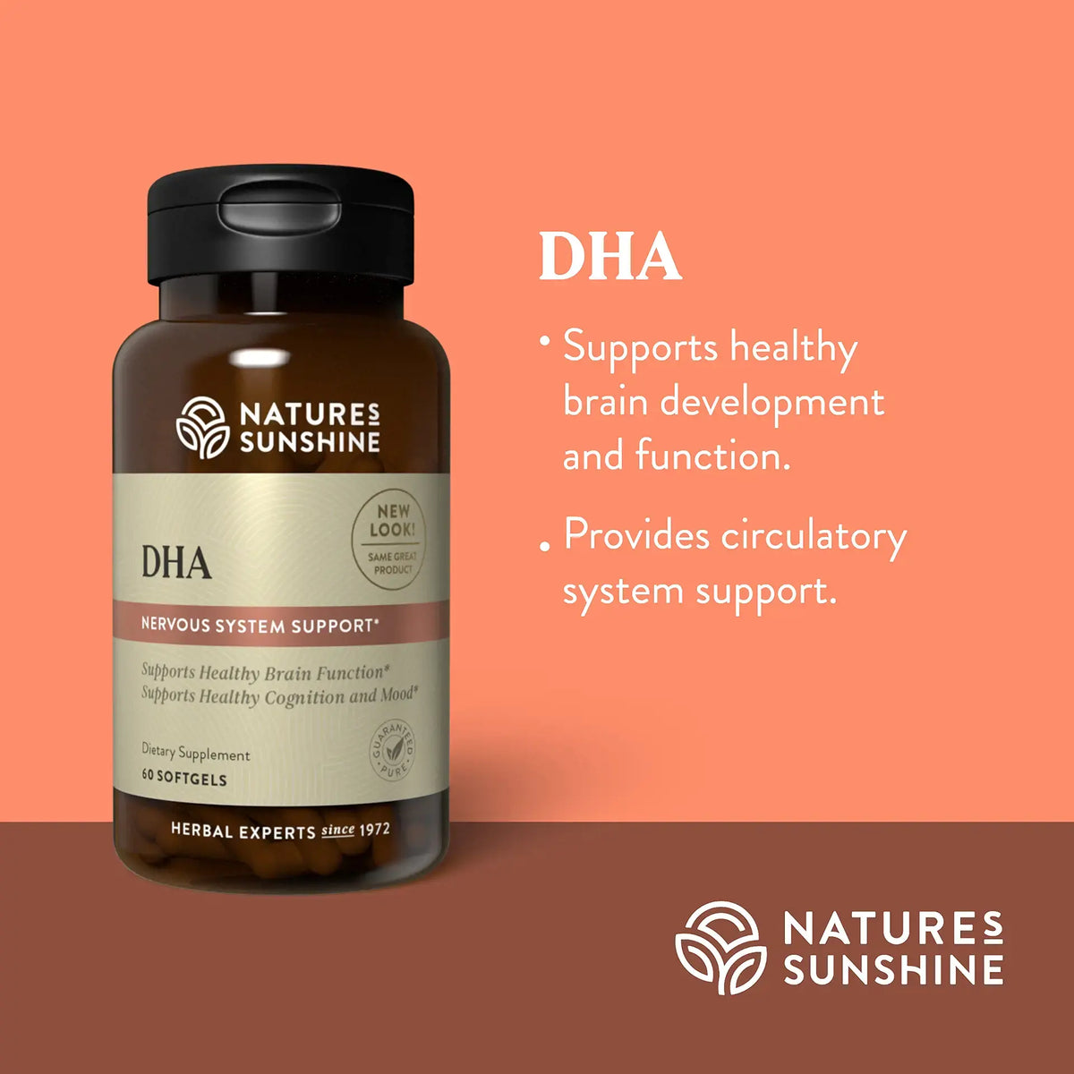 Nature's Sunshine DHA dietary supplement bottle on a peach and brown gradient background with text describing its support for healthy brain development and function.