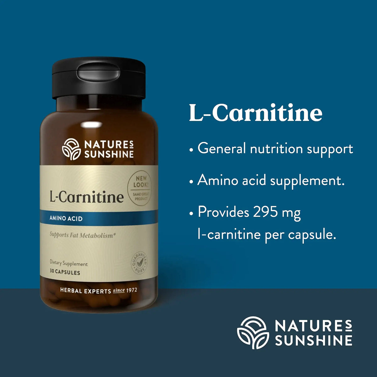 Natures Sunshine L-Carnitine dietary supplement bottle on a dark blue background with product details and bullet points printed on the right.