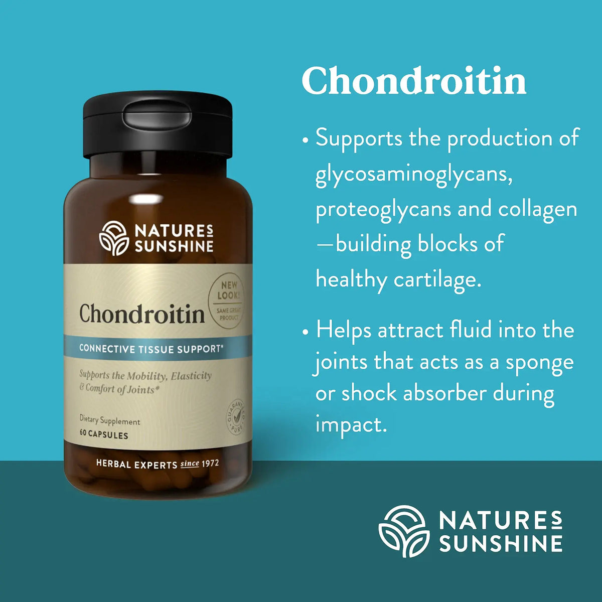 Nature's Sunshine Chondroitin dietary supplement bottle on a teal background with product information text on the right.