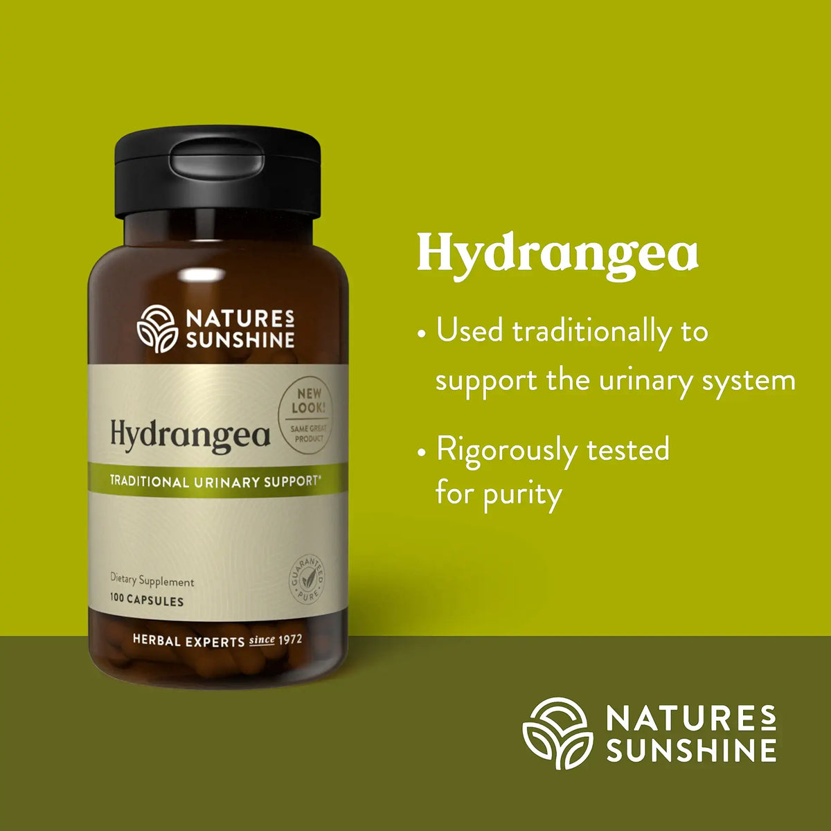 A bottle of Nature's Sunshine Hydrangea herbal supplement capsules on a bright yellow-green background, with text describing traditional urinary system support and rigorous testing.