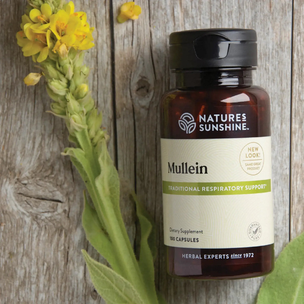 Nature's Sunshine Mellein
