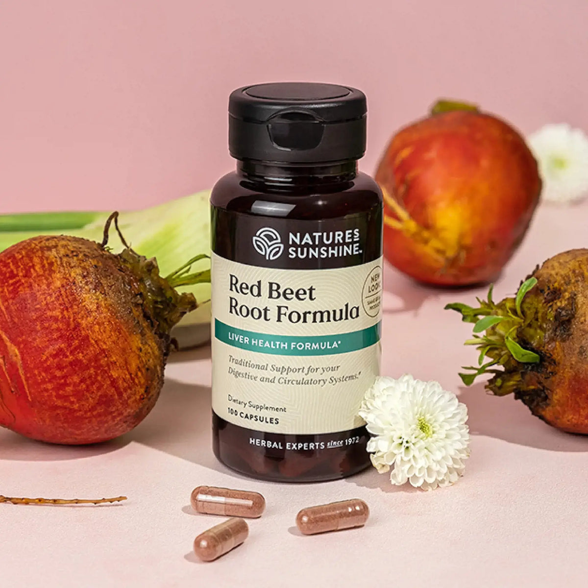 Nature's Sunshine Red Beet Root Formula