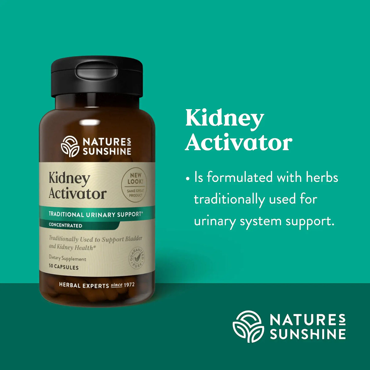Natures Sunshine Kidney Activator dietary supplement bottle on a teal background with product information text.