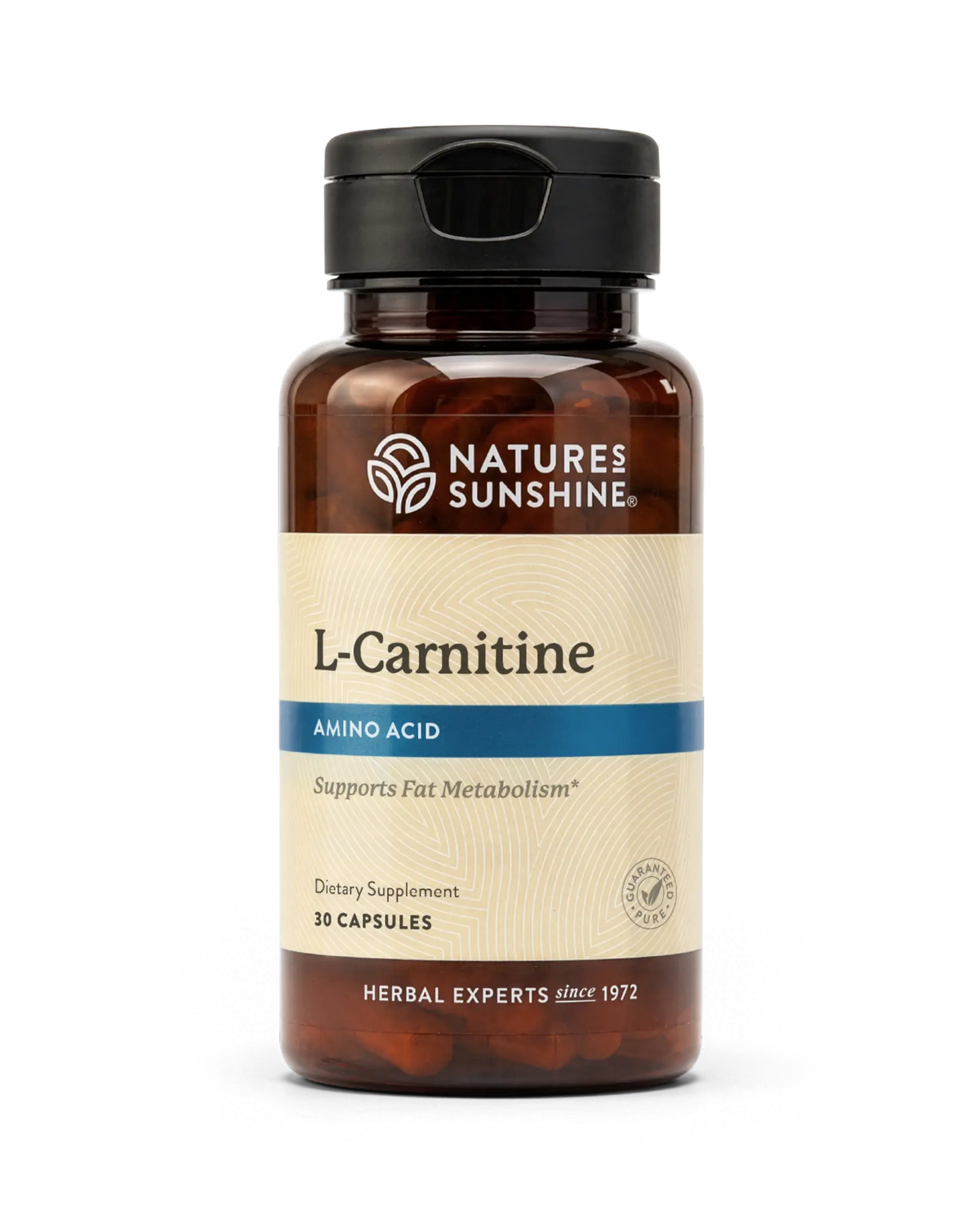 A bottle of Nature's Sunshine L-Carnitine dietary supplement, containing 10 capsules, shown on a clean white background.