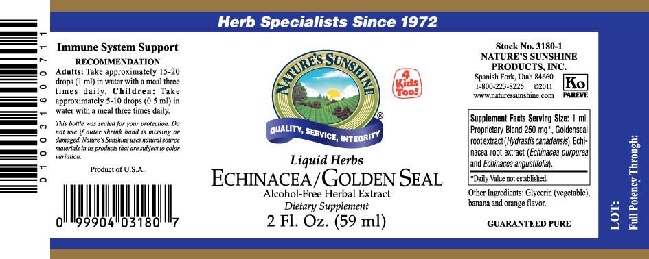Nature's Sunshine Echinacea/Golden Seal Liquid (2 fl. oz.) - Nature's Best Health Store