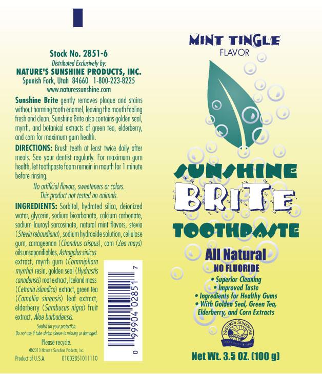 Sunshine Brite Toothpaste (3.5 oz. tube) - Nature's Best Health Store