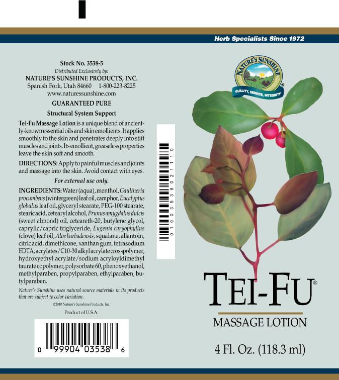 Tei Fu® Massage Lotion (4 oz. tube) - Nature's Best Health Store