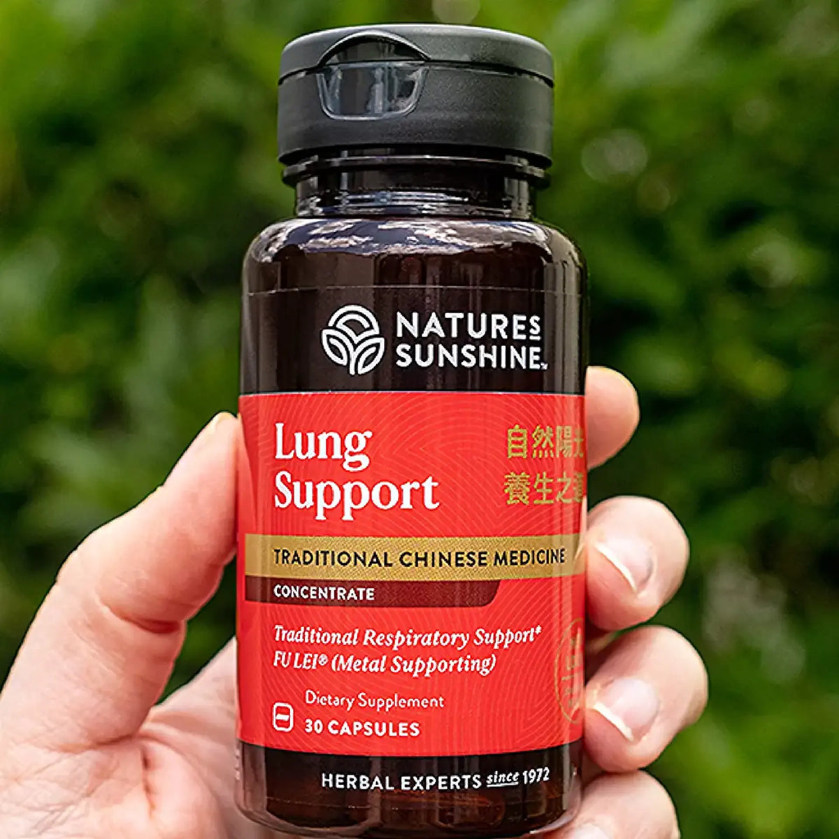 Hand holding a bottle of Natures Sunshine Lung Support supplement with a blurred green background