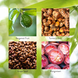 Four inset product photos arranged in a 2x2 grid on a green leafy background: a green bergamot fruit on a branch, a pile of turmeric roots, a pile of dark grape seeds, and sliced red mangosteen fruit. Text labels identify each ingredient.