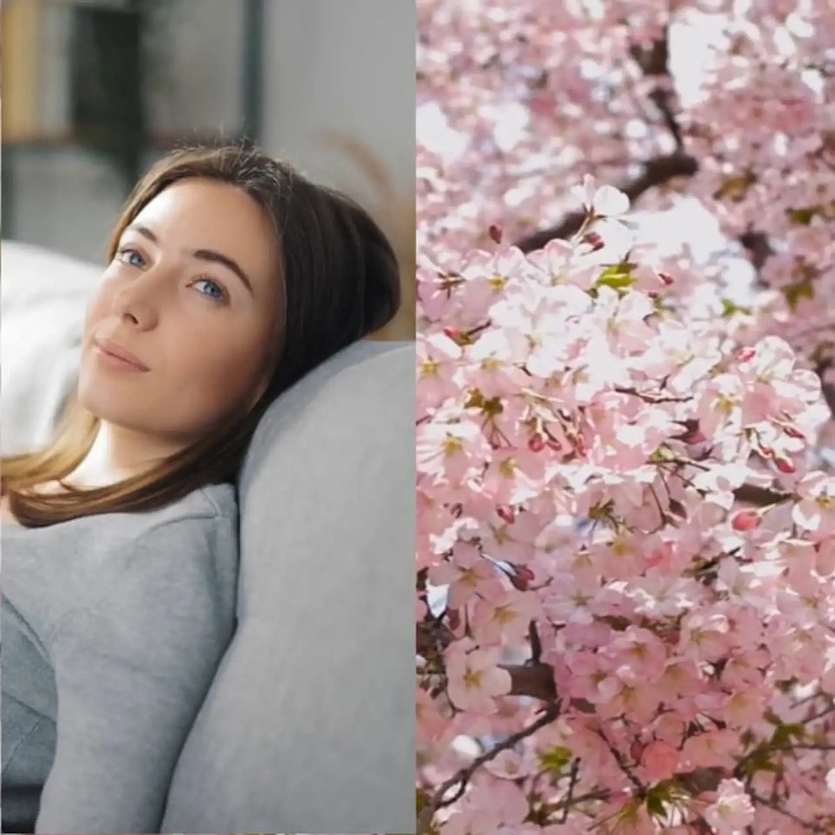 Person sitting on a couch next to a photo of cherry blossoms