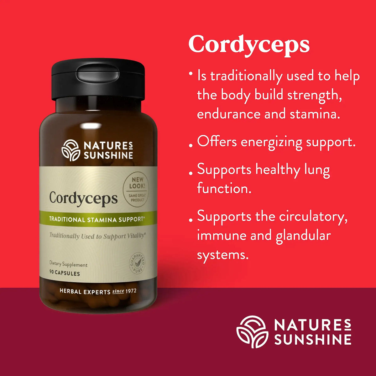 A bottle of Nature's Sunshine Cordyceps herbal supplement on a red-to-magenta gradient background, with white text describing traditional benefits of Cordyceps.