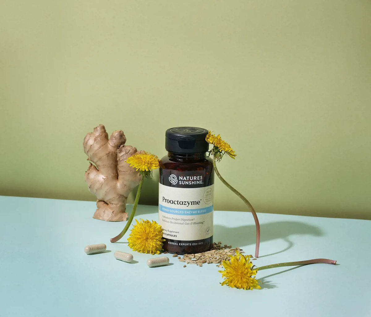A bottle of Nature's Sunshine Prooctazyme digestive supplement, styled with yellow dandelions, a piece of fresh ginger root, and capsules on a light blue surface against a sage green background.