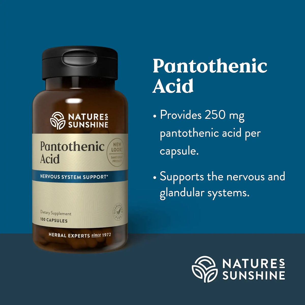 Nature's Sunshine Pantothenic Acid dietary supplement bottle on a dark blue background with text detailing its 250 mg pantothenic acid content and nervous system support benefits.