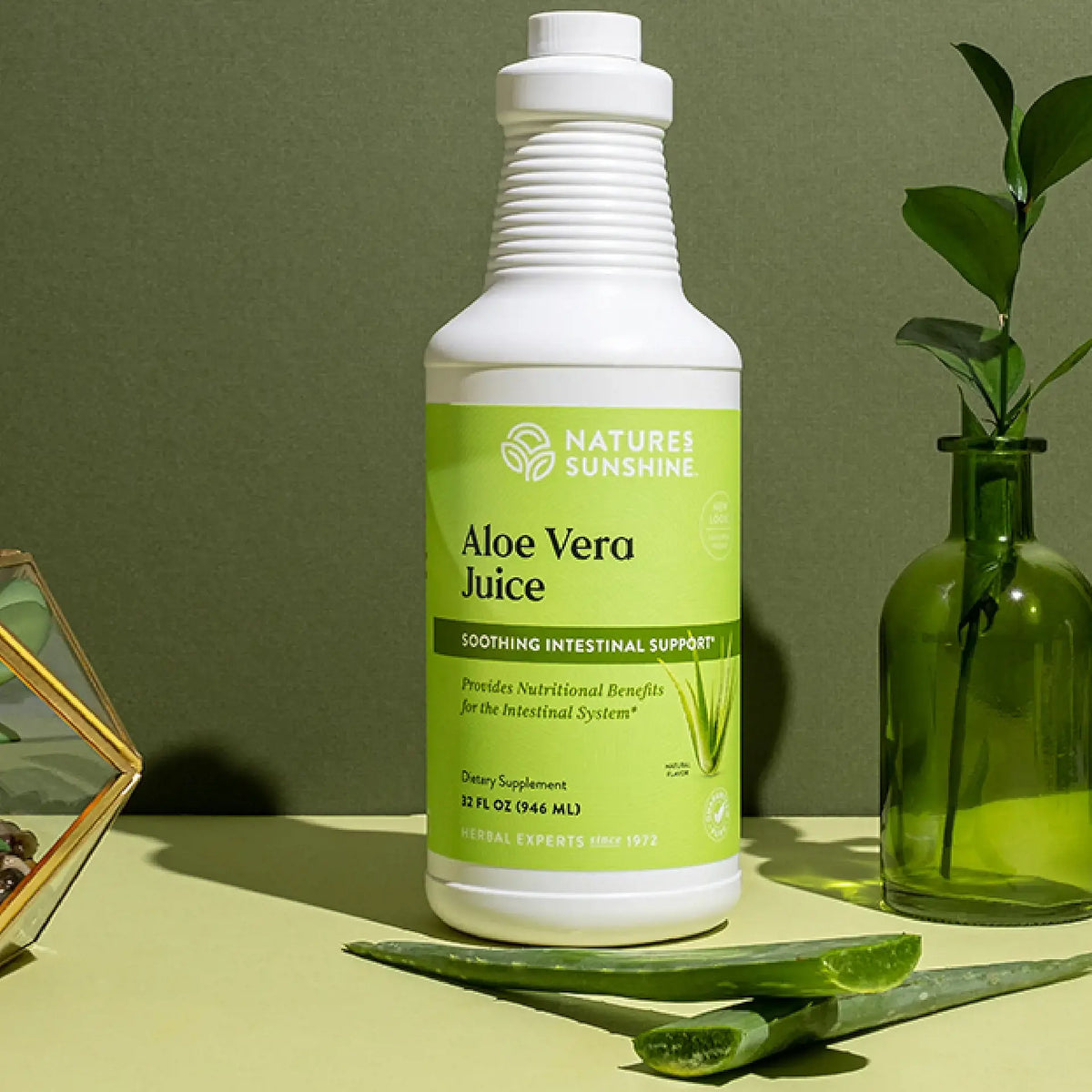 Nature's Sunshine Aloe Vera Juice bottle on a green background with aloe vera leaves.