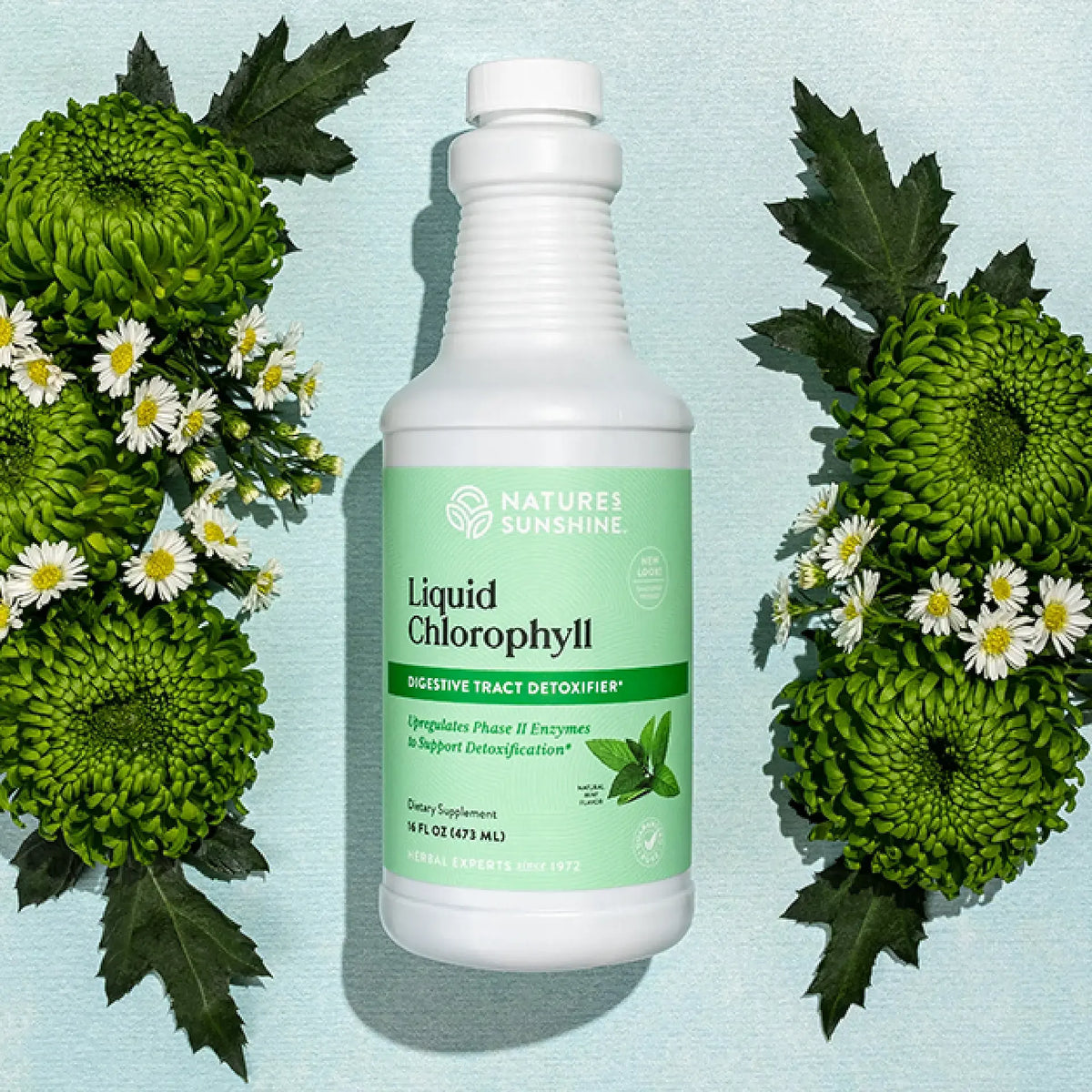 Nature's Sunshine Liquid Chlorophyll bottle with green leaves and flowers on a light blue background
