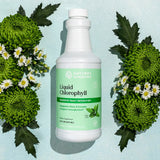 Nature's Sunshine Liquid Chlorophyll bottle with green leaves and flowers on a light blue background