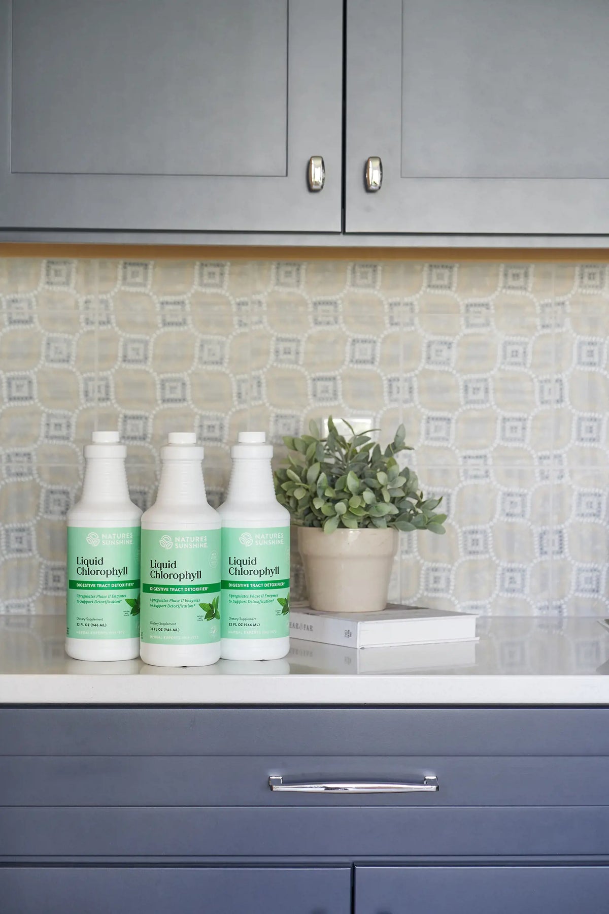 Nature's Sunshine Liquid Chlorophyll