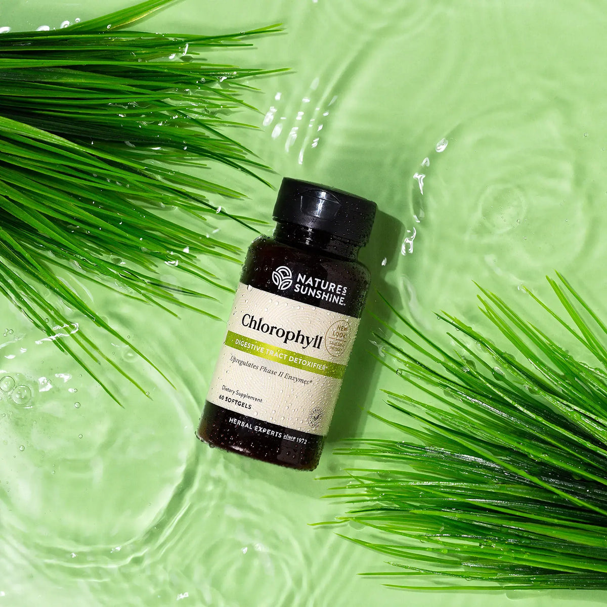 A bottle of Natures Sunshine Chlorophyll dietary supplement placed on a light green water surface with green grass leaves framing the scene.