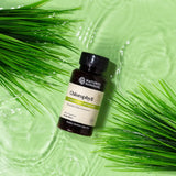 A bottle of Natures Sunshine Chlorophyll dietary supplement placed on a light green water surface with green grass leaves framing the scene.