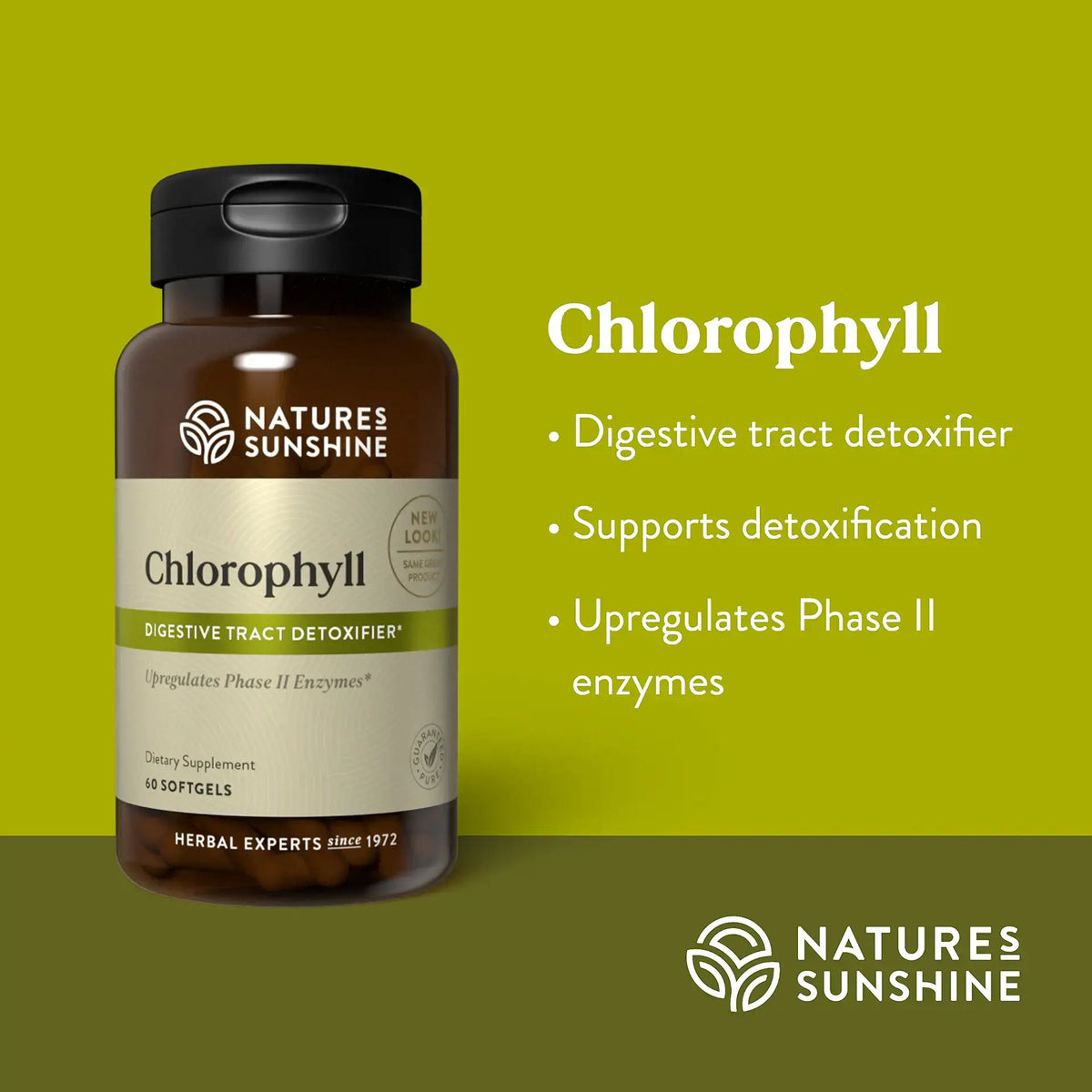 Natures Sunshine Chlorophyll supplement bottle on a green background