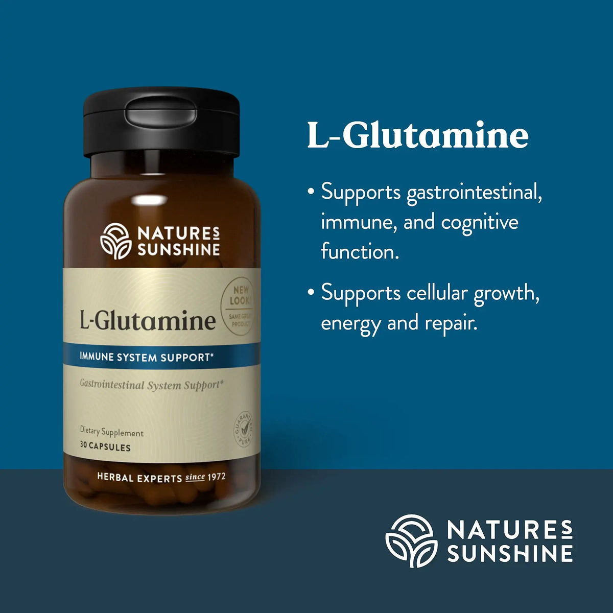 Natures Sunshine L-Glutamine supplement bottle on a dark blue background with text describing its benefits for gastrointestinal, immune, and cognitive support.