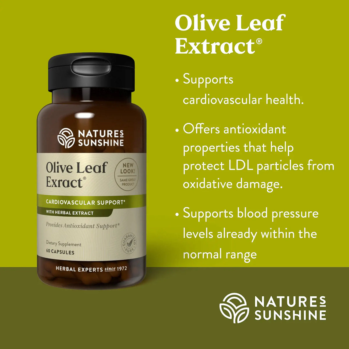 Nature's Sunshine Olive Leaf Extract