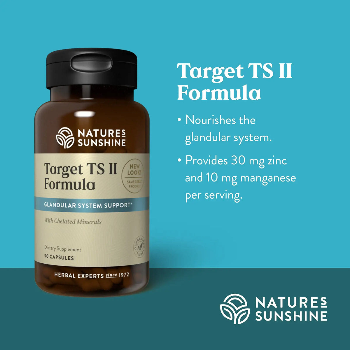 A bottle of Nature's Sunshine Target TS II Formula dietary supplement on a teal background, with text describing its benefits for the glandular system.