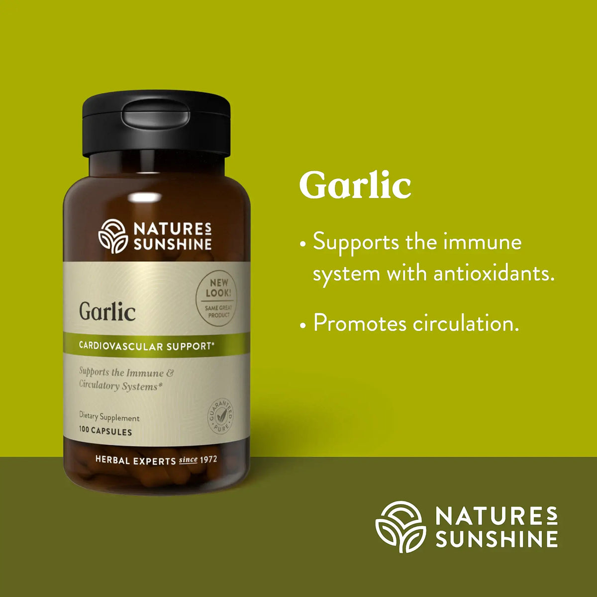 Natures Sunshine Garlic dietary supplement bottle on a green gradient background with text highlighting its immune and cardiovascular support benefits.