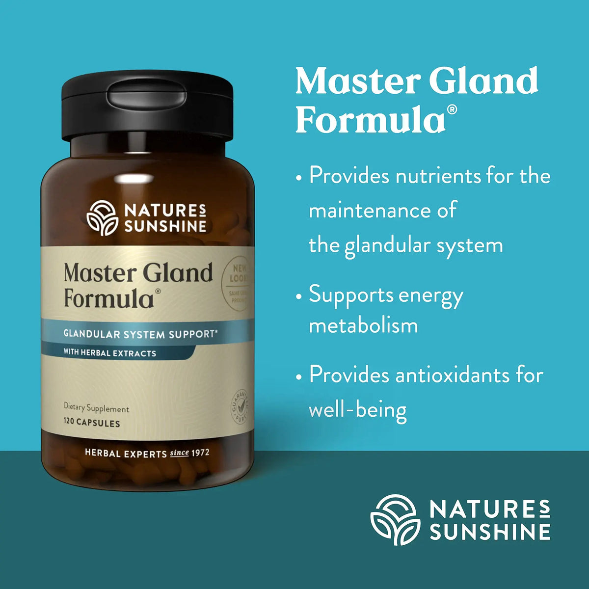 Natures Sunshine Master Gland Formula supplement bottle on a blue background with product details.