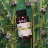 Nature's Sunshine Alfalfa supplement bottle on a green background with purple flowers