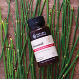 A bottle of Nature's Sunshine Horsetail herbal supplement capsules, placed diagonally on a bed of fresh green horsetail plant stems on a textured brown surface.