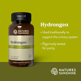 A bottle of Nature's Sunshine Hydrangea herbal supplement capsules on a bright yellow-green background, with text describing traditional urinary system support and rigorous testing.