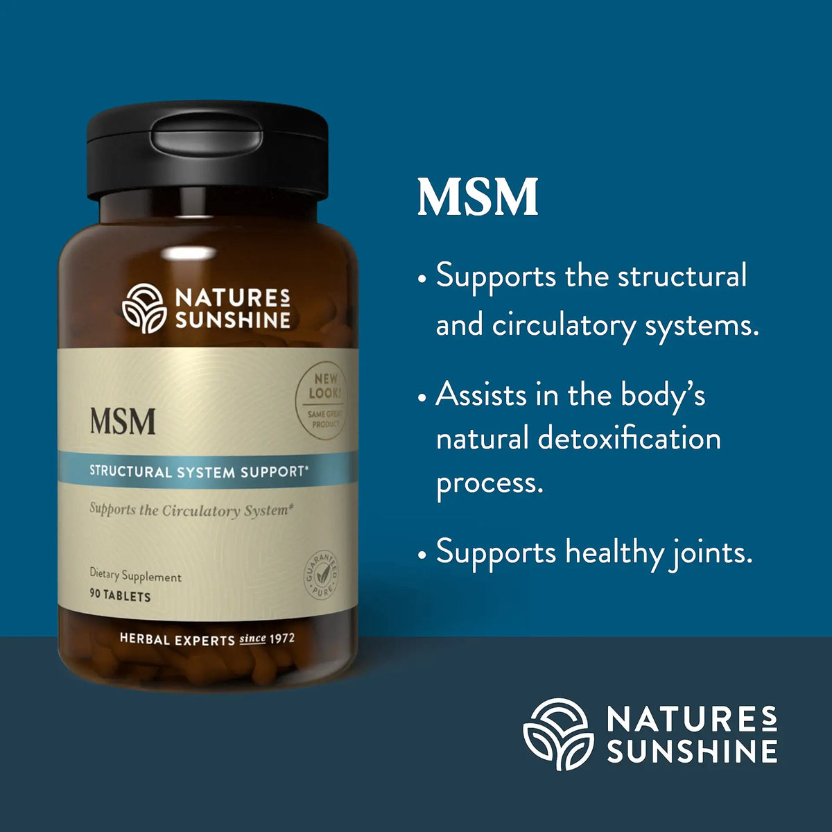 Natures Sunshine MSM supplement bottle on a blue background with product details.