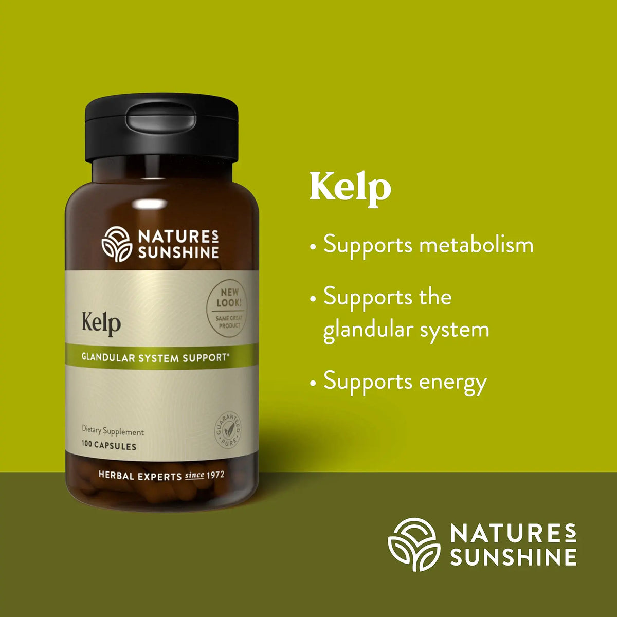 A bottle of Nature's Sunshine Kelp dietary supplement on a bright yellow-green background, with text listing benefits such as supporting metabolism, the glandular system, and energy.