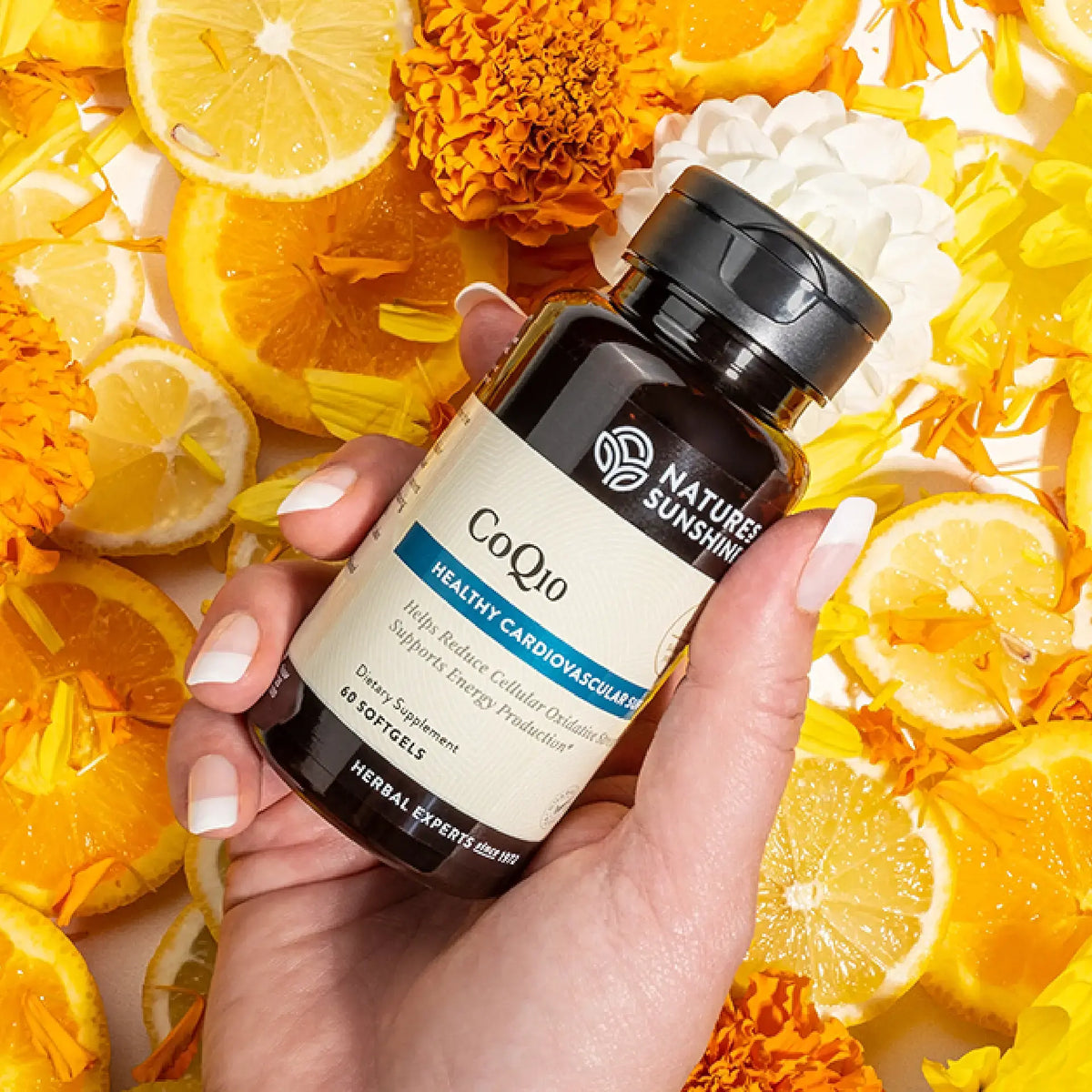 Hand holding a bottle of Natures Sunshine CoQ10 supplement surrounded by orange slices and flowers.