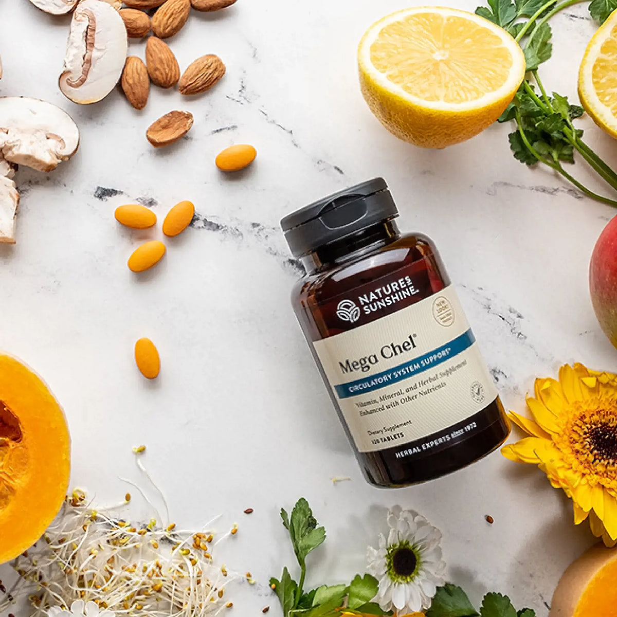Nature's Sunshine Mega Chef supplement bottle surrounded by fruits, vegetables, and herbs on a white surface.