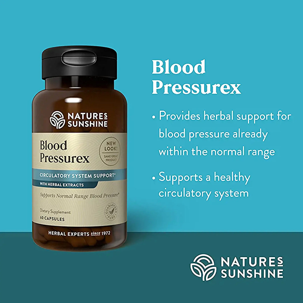 Natures Sunshine Blood Pressurex dietary supplement bottle on a teal background with product information text on the right.