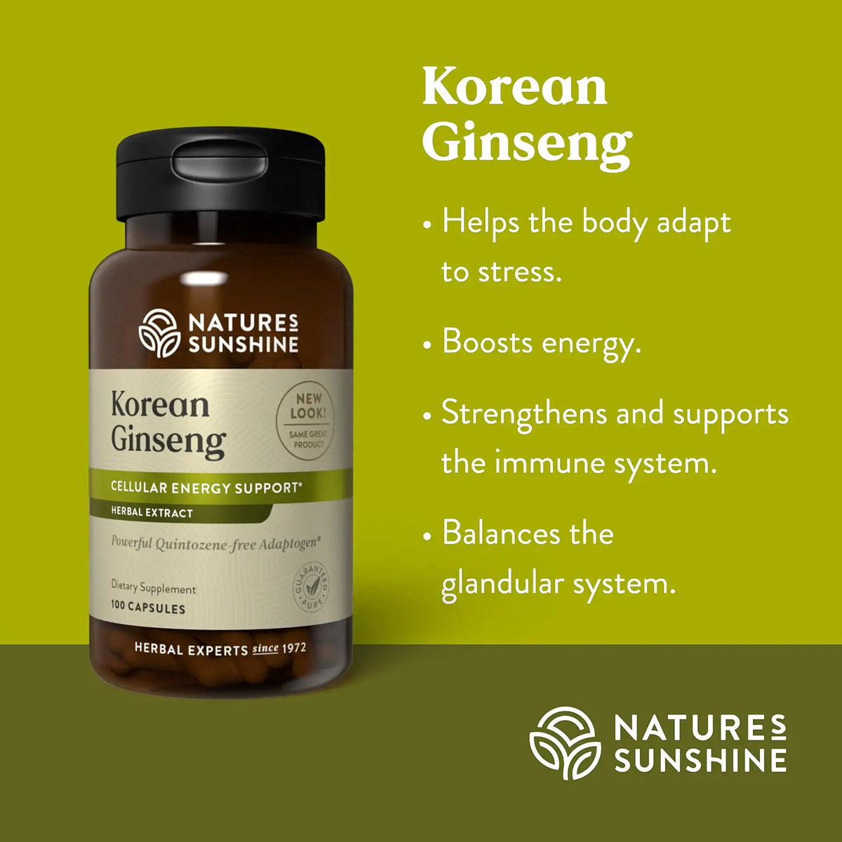 Natures Sunshine Korean Ginseng dietary supplement bottle on a green background with text detailing its benefits for stress, energy, and immune support.