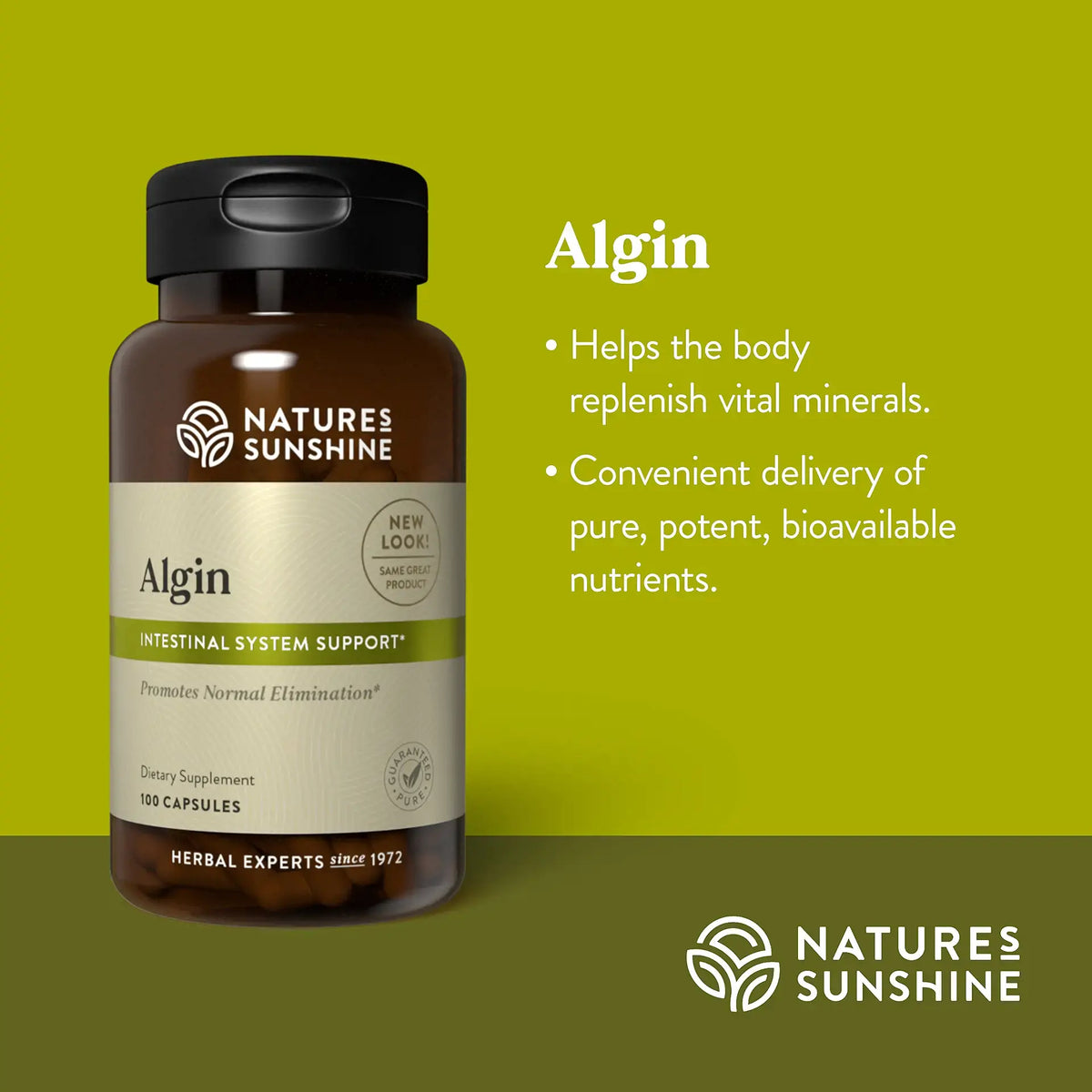 Nature's Sunshine Algin dietary supplement bottle on a green background with descriptive text on the right.