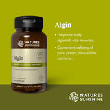 Nature's Sunshine Algin dietary supplement bottle on a green background with descriptive text on the right.
