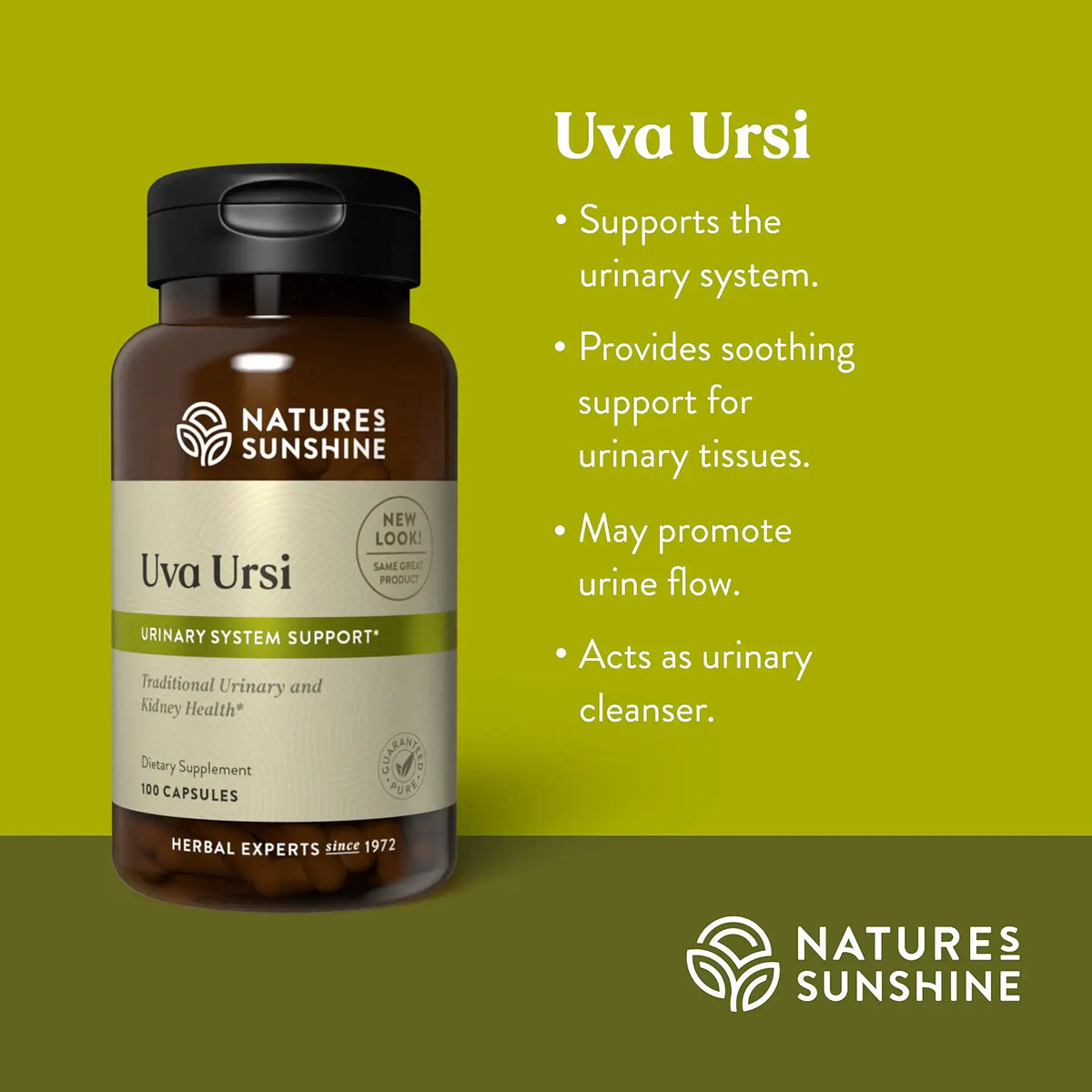 Natures Sunshine Uva Ursi supplement bottle on a green background with product details.