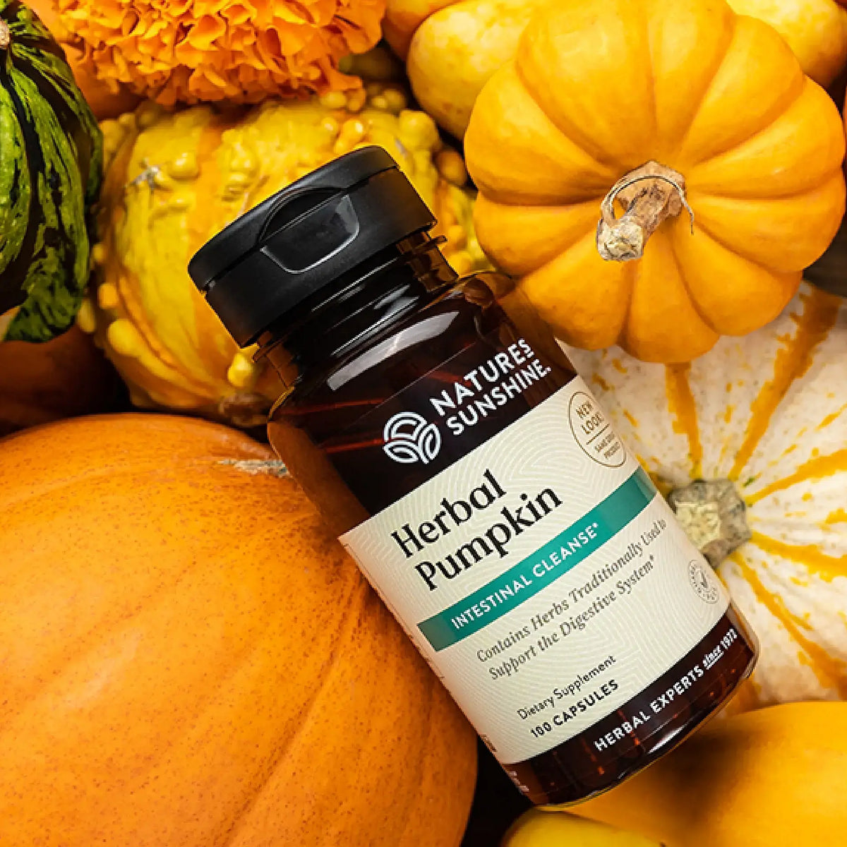 Nature's Sunshine Herbal Pumpkin (100 caps)