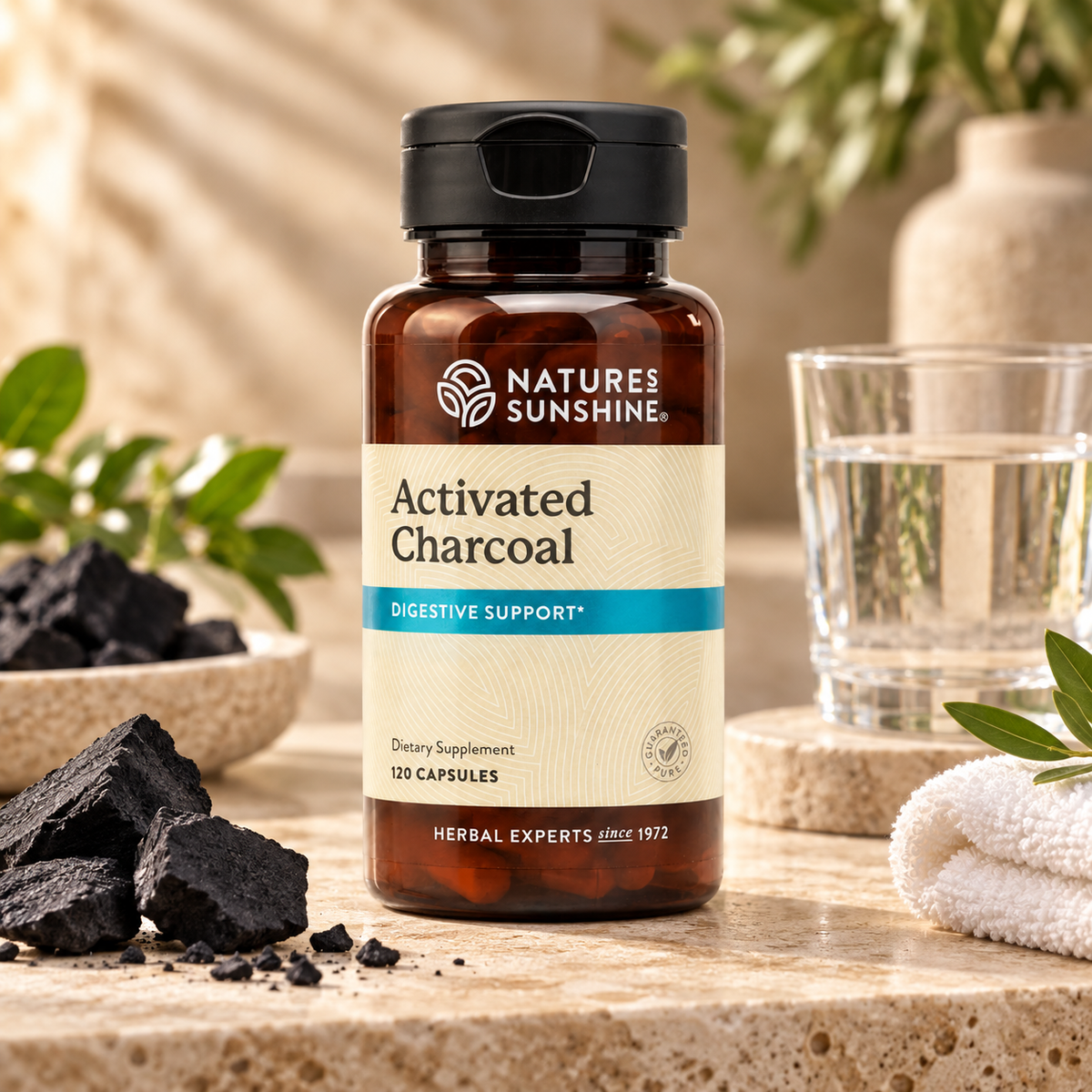 A bottle of Nature's Sunshine Activated Charcoal dietary supplement, 120 capsules, displayed on a stone surface with charcoal pieces, a glass of water, and a towel in the background.