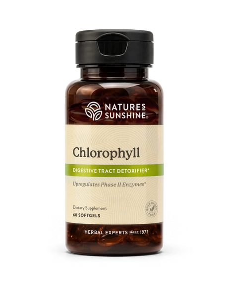 A bottle of Nature's Sunshine Chlorophyll dietary supplement containing 60 softgels, shown on a clean white background.