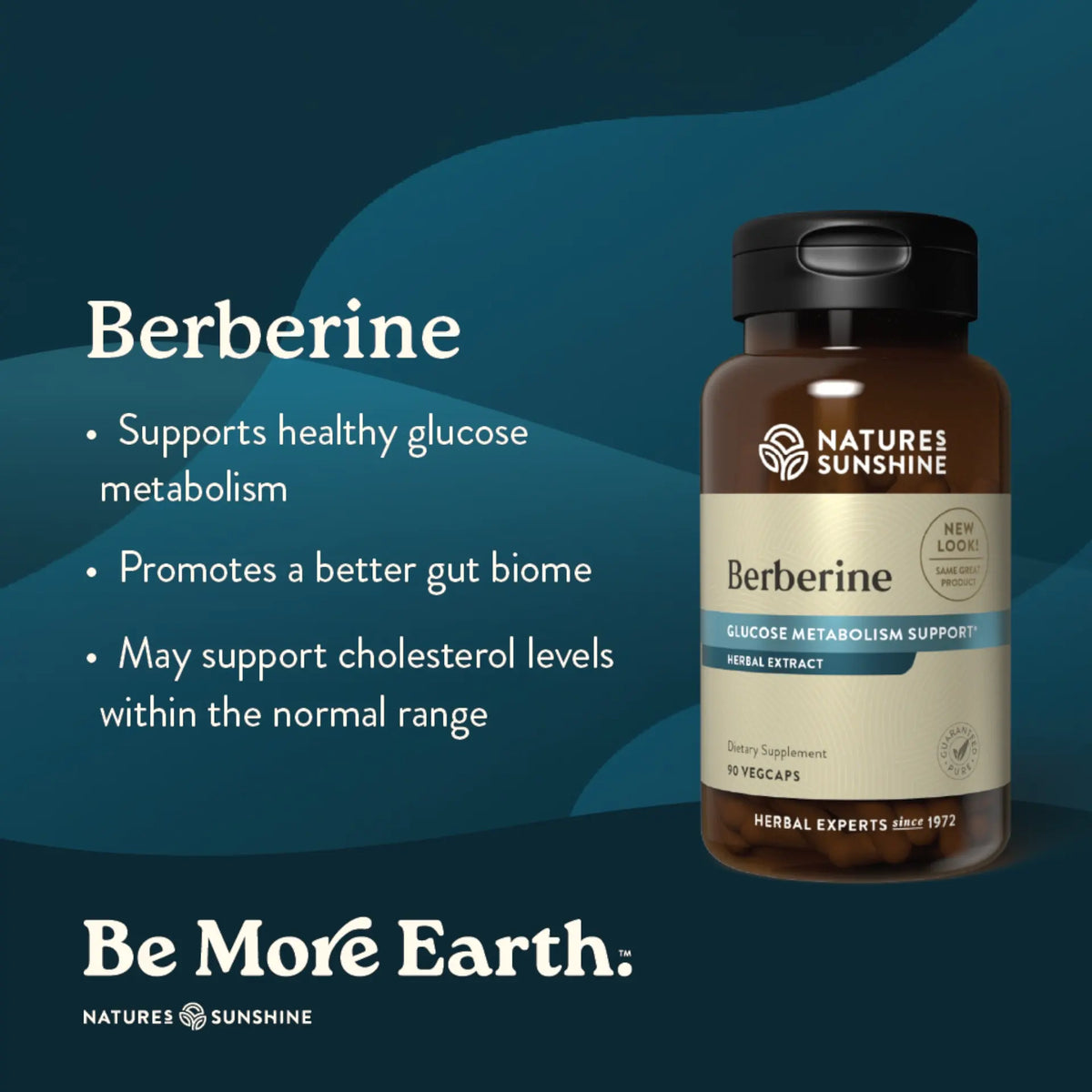 Nature's Sunshine Berberine herbal supplement bottle on a dark teal graphic background with text highlighting benefits for glucose metabolism, gut health, and cholesterol levels.