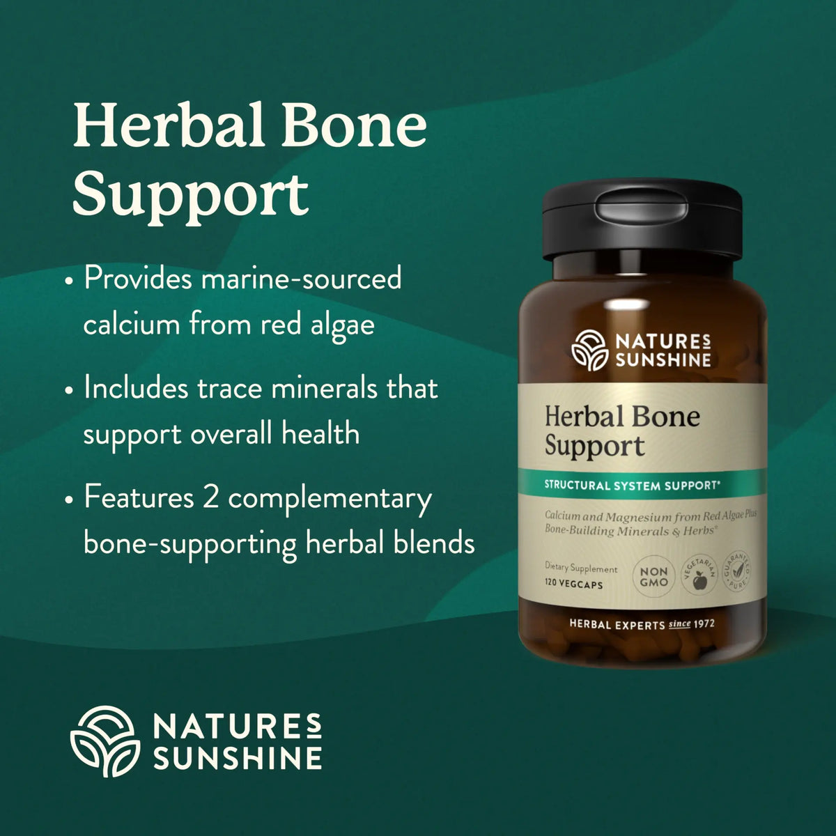Nature's Sunshine Herbal Bone Support supplement bottle on a green background with product details.