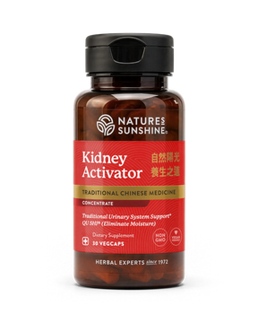 A bottle of Nature's Sunshine Kidney Activator dietary supplement, featuring a dark amber brown bottle, a black cap, and a red label with gold and white text, set against a plain white background.