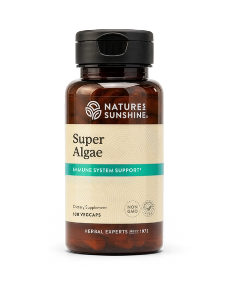 A bottle of Nature's Sunshine Super Algae dietary supplement, featuring an amber brown bottle, a black cap, and a beige label with a teal accent stripe.