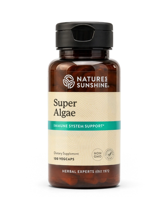 A bottle of Nature's Sunshine Super Algae dietary supplement, featuring an amber brown bottle, a black cap, and a beige label with a teal accent stripe.