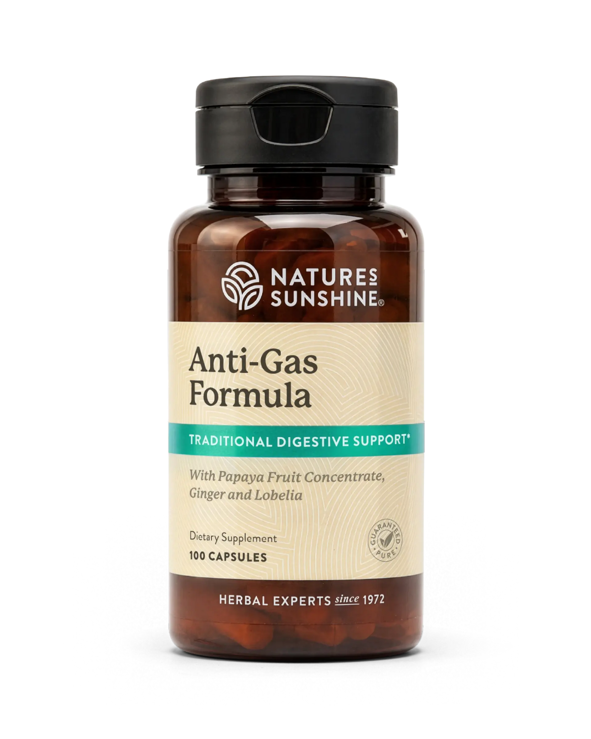 A bottle of Nature's Sunshine Anti-Gas Formula dietary supplement, featuring an amber brown bottle, black cap, and a beige label with green and white text, set against a plain white background.